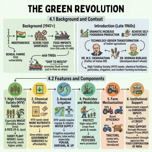 Sketchnote infographic example — historical content rebuilt as a one-page visual story.