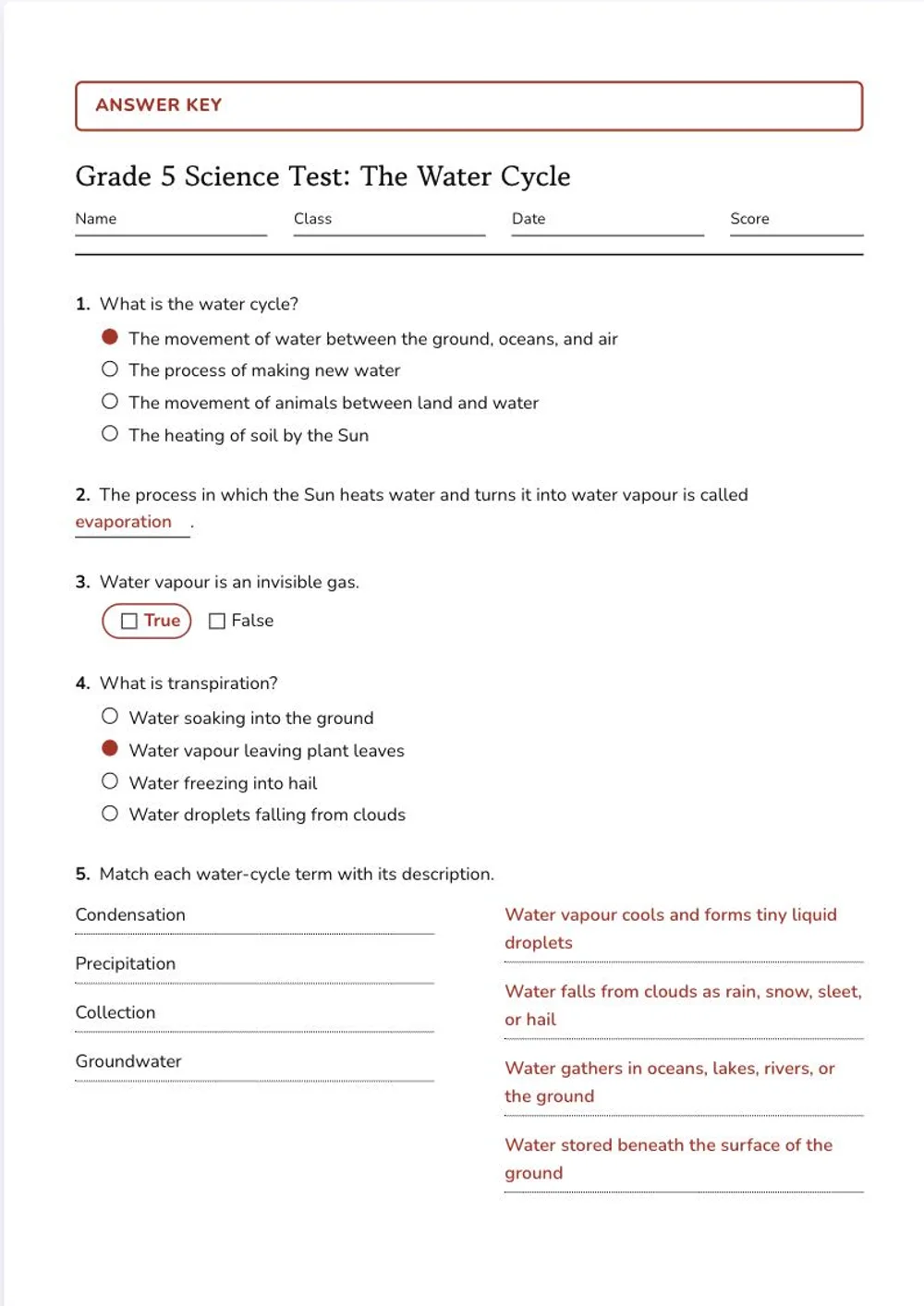 The answer key of the same water cycle test: the same page with the answers filled in red
