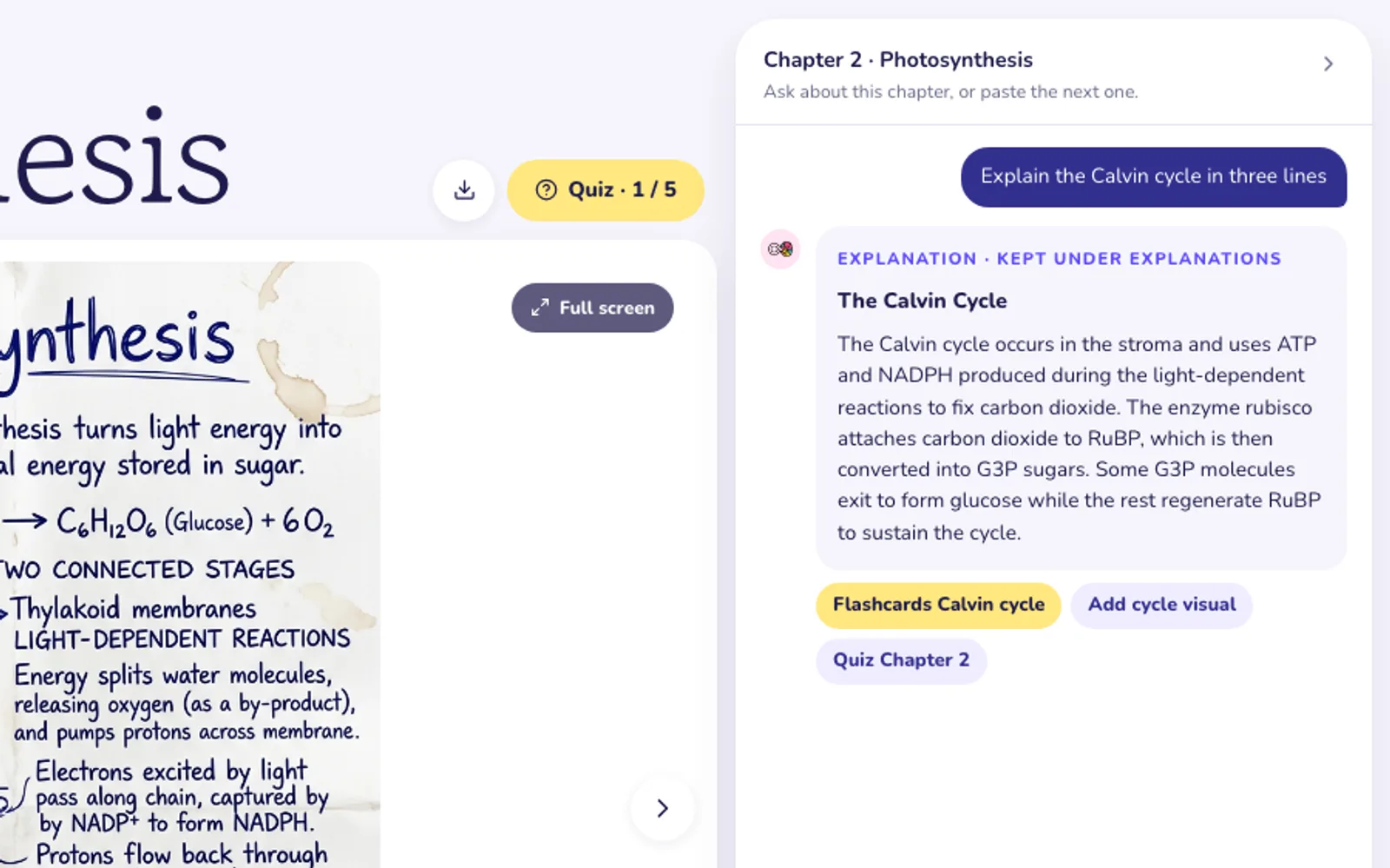 The chapter chat in VisualNote AI explaining the Calvin cycle from the chapter text, with the chips Flashcards Calvin cycle, Add cycle visual and Quiz Chapter 2 under the reply