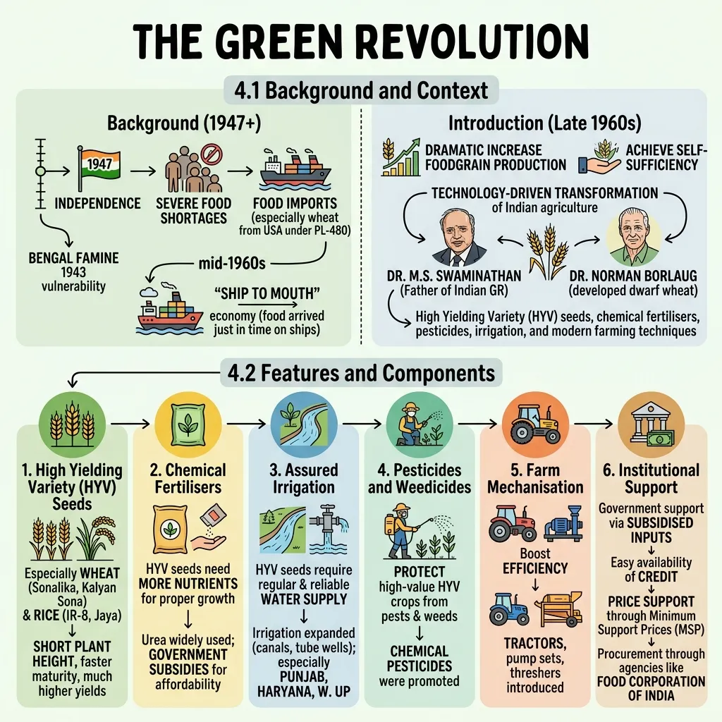 Sketchnote infographic of India's Green Revolution: the 1947 food-shortage background and the six components — HYV seeds, chemical fertilisers, assured irrigation, pesticides, farm mechanisation and institutional support.
