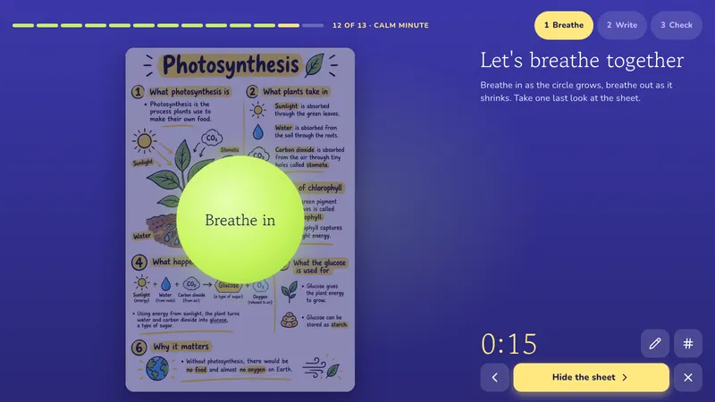Calm minute: Photosynthesis