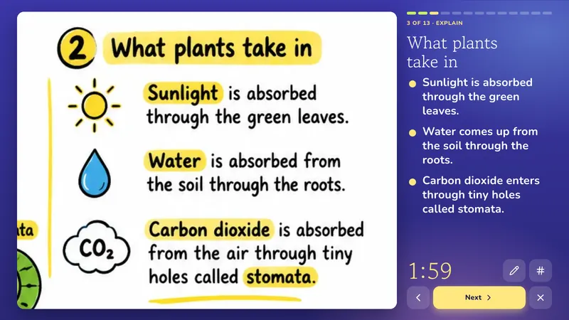 Explain: Photosynthesis