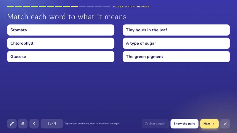 Match the pairs: Photosynthesis