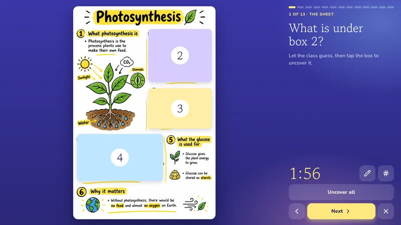 The sheet: Photosynthesis