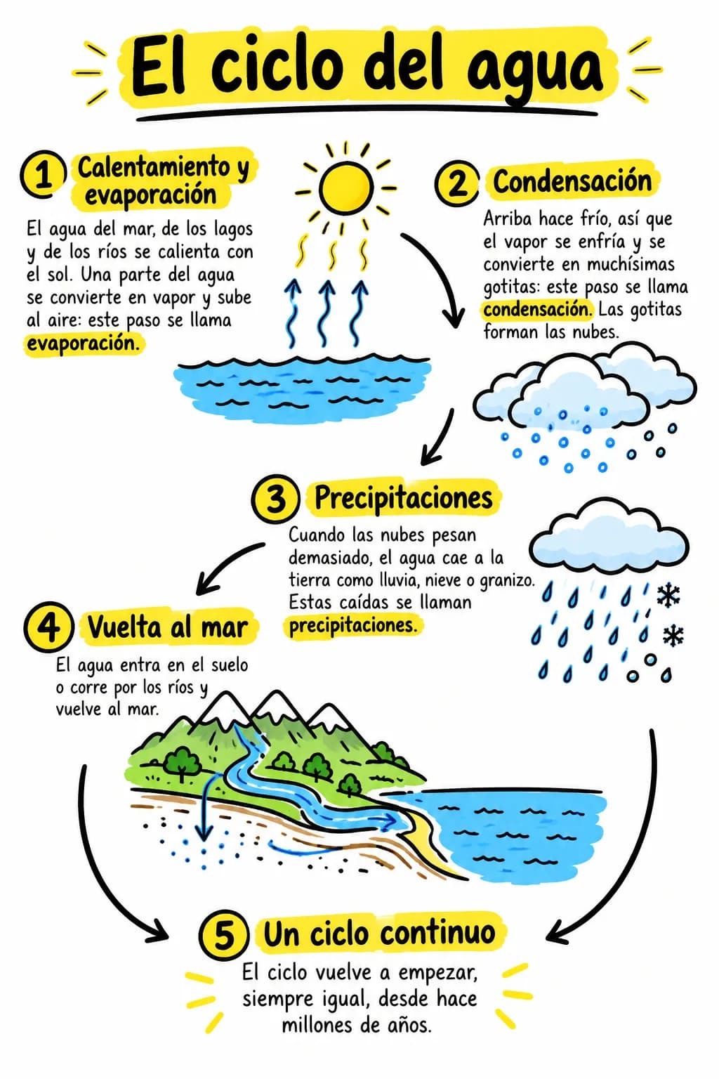 Una nota dibujada por VisualNote como una ficha: el ciclo del agua en cinco partes numeradas