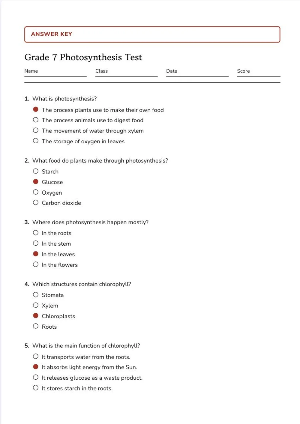 The answer key of the same photosynthesis test: the same page with the correct option filled in red